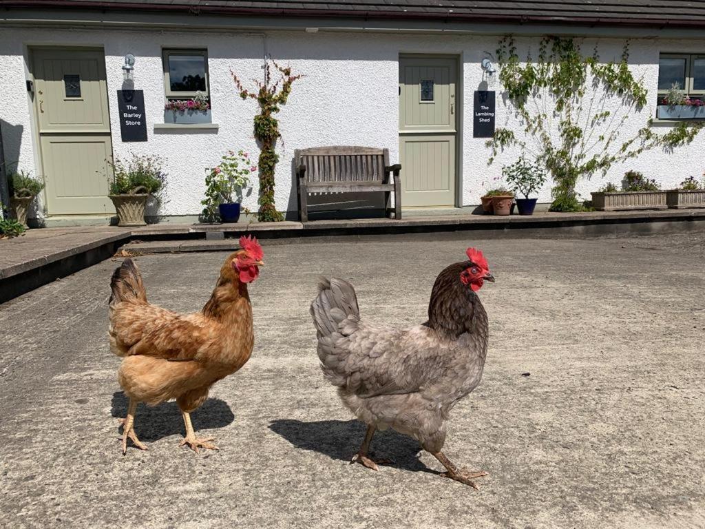 The Old Dairy At Walkmill Farm Villa Bushmills Luaran gambar